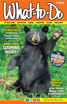 What To Do . Sunny Day Guide Smoky Mountains Cover